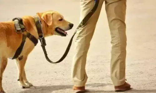 नोएडा प्राधिकरण ने कुत्ते के मालिक पर लगाया 10,000 रुपये का जुर्माना नोएडा प्राधिकरण ने कुत्ते के मालिक पर लगाया 10,000 रुपये का जुर्माना