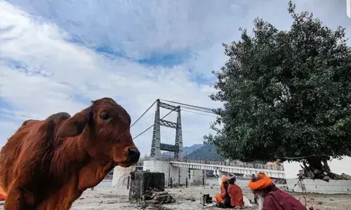 अद्भुत हरिद्वार, आध्यात्मिक हरिद्वार, सप्त ऋषियों की तपस्थली है हरिद्वार का सप्त ऋषि आश्रम, हरिद्वार आएं तो यहाँ जरूर आएं अद्भुत हरिद्वार, आध्यात्मिक हरिद्वार, सप्त ऋषियों की तपस्थली है हरिद्वार का सप्त ऋषि आश्रम, हरिद्वार आएं तो यहाँ जरूर आएं