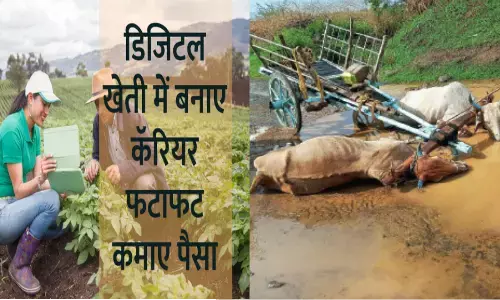 डिजिटल-कृषि बनाम बैलगाड़ी में टेस्ला का डिस्प्ले, केवल 2% किसान हैं कंप्यूटर-साक्षर कैसे होगी डिजिटल कृषि क्रांति ? डिजिटल-कृषि बनाम बैलगाड़ी में टेस्ला का डिस्प्ले, केवल 2% किसान हैं कंप्यूटर-साक्षर कैसे होगी डिजिटल कृषि क्रांति ?