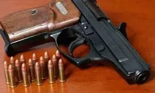 इस आईपीएस अधिकारी के घर से उनकी सर्विस रिवाल्वर गायब