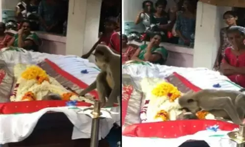 рд░реБрд▓рд╛ рджреЗрдЧреА рджреЛрд╕реНрддреА рдХреА рдпрд╣ Video, рд╢рд╡ рдХреЗ рдкрд╛рд╕ рдмреИрдард╛ рд░рд╣рд╛ рд▓рдВрдЧреВрд░, рдорд╛рдерд╛ рдЪреВрдорд╛, рд╕рд╛рдВрд╕реЗрдВ рдХреА рдЪреЗрдХ рдФрд░ рдлрд┐рд░ рд░реЛрдиреЗ рд▓рдЧрд╛ рд░реБрд▓рд╛ рджреЗрдЧреА рджреЛрд╕реНрддреА рдХреА рдпрд╣ Video, рд╢рд╡ рдХреЗ рдкрд╛рд╕ рдмреИрдард╛ рд░рд╣рд╛ рд▓рдВрдЧреВрд░, рдорд╛рдерд╛ рдЪреВрдорд╛, рд╕рд╛рдВрд╕реЗрдВ рдХреА рдЪреЗрдХ рдФрд░ рдлрд┐рд░ рд░реЛрдиреЗ рд▓рдЧрд╛