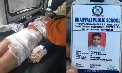 Greater Noida Big Breaking: दादरी में घर के बाहर टहल रहे मासूम को ट्रैक्टर ने कुचला Greater Noida Big Breaking: दादरी में घर के बाहर टहल रहे मासूम को ट्रैक्टर ने कुचला