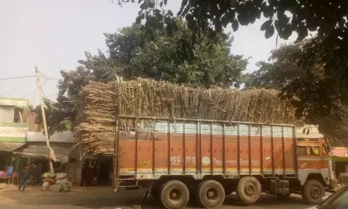 हरदोई में किसी बड़े हादसे को दावत देगा ओवरलोडिंग का कहर, राहगीर परेशान मुख्य मार्ग पर लगा रहता है जाम हरदोई में किसी बड़े हादसे को दावत देगा ओवरलोडिंग का कहर, राहगीर परेशान मुख्य मार्ग पर लगा रहता है जाम