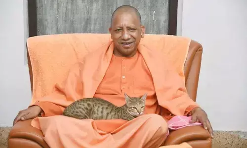 Yogi Aditynath: मुख्यमंत्री योगी आदित्यनाथ का देखिए पशु प्रेम Yogi Aditynath: मुख्यमंत्री योगी आदित्यनाथ का देखिए पशु प्रेम