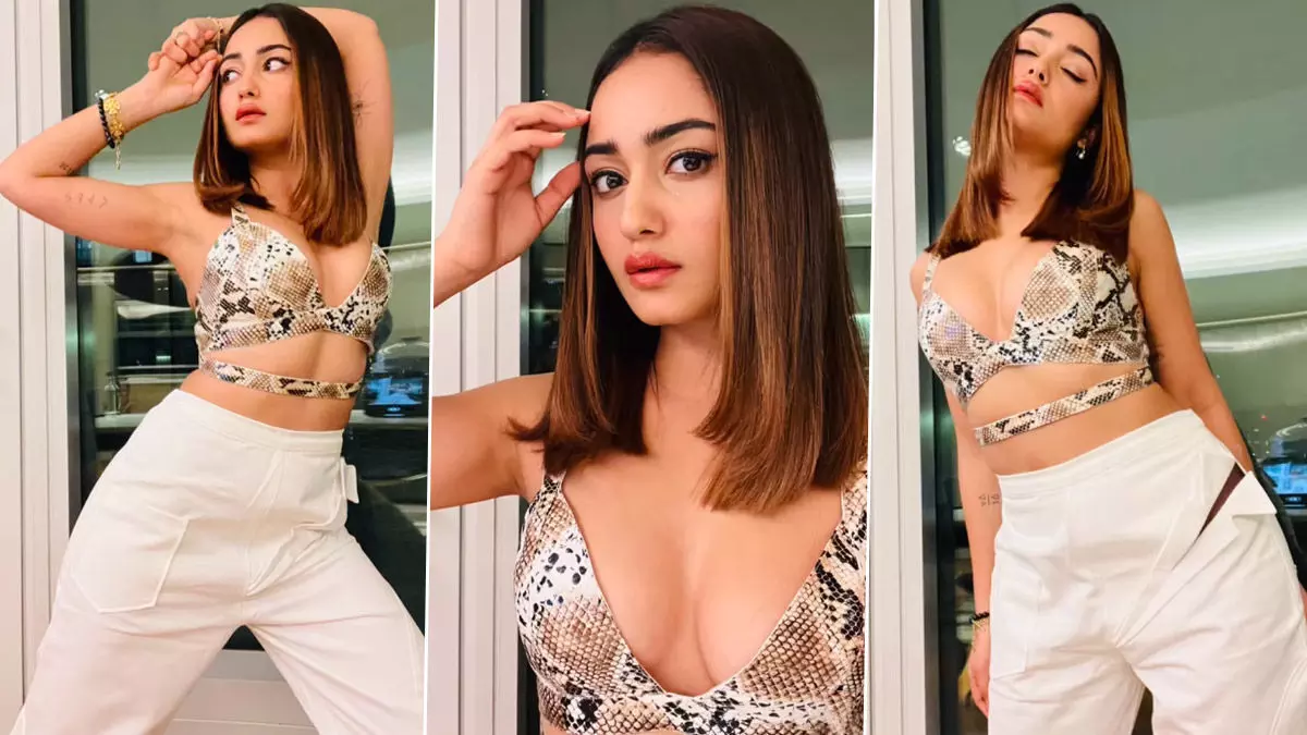 Tridha Choudhury Sexy Video: Tridha Choudhury का हॉट आउटफिट में दिखा सिजलिंग अवतार, कातिल अदाओं ने यूजर्स को बनाया मतवाला Tridha Choudhury Sexy Video: Tridha Choudhury का हॉट आउटफिट में दिखा सिजलिंग अवतार, कातिल अदाओं ने यूजर्स को बनाया मतवाला