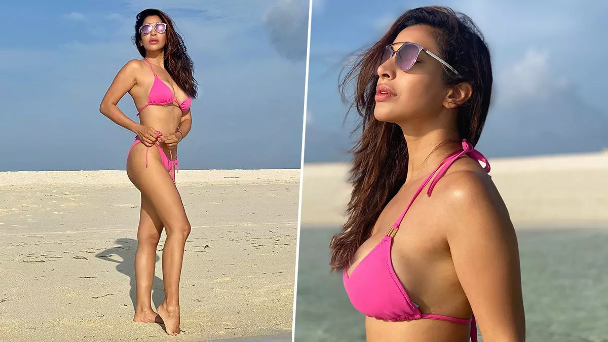 Sophie Choudry Sexy Video: Sophie Choudry ने पिंक बिकनी पहन दिराया किनारे लगाई आग, सिंगर की हॉटनेस देख यूजर्स हुए घायल Sophie Choudry Sexy Video: Sophie Choudry ने पिंक बिकनी पहन दिराया किनारे लगाई आग, सिंगर की हॉटनेस देख यूजर्स हुए घायल