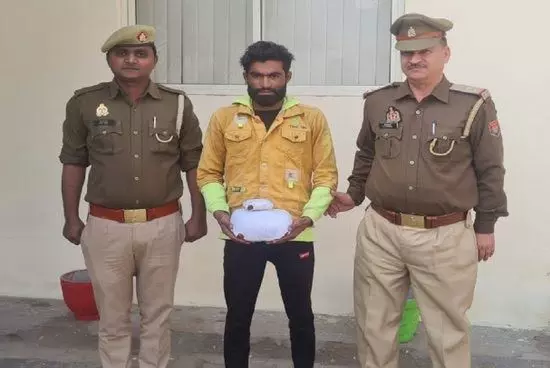 Noida News: ऑनलाइन नशीले पदार्थों की तस्करी करने वाला शातिर तस्कर गिरफ्तार,  दस लाख रुपये के नशीले पदार्थ बरामद