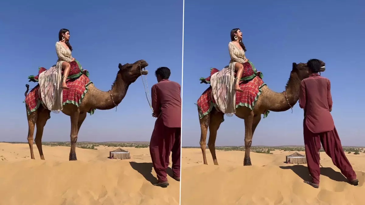 Shehnaaz Gill Viral Video: शहनाज गिल को भारी पड़ी ऊंट की सवारी, वीडियो देख आपकी निकल जाएगी हंसी Shehnaaz Gill Viral Video: शहनाज गिल को भारी पड़ी ऊंट की सवारी, वीडियो देख आपकी निकल जाएगी हंसी