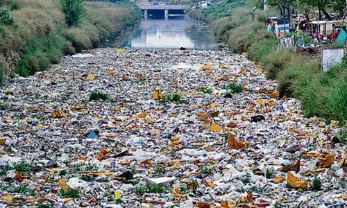 Noida News : नोएडा के नाले में मिला छः महीने का भ्रूण, अब इस तरह होगी आरोपी की पहचान Noida News : नोएडा के नाले में मिला छः महीने का भ्रूण, अब इस तरह होगी आरोपी की पहचान