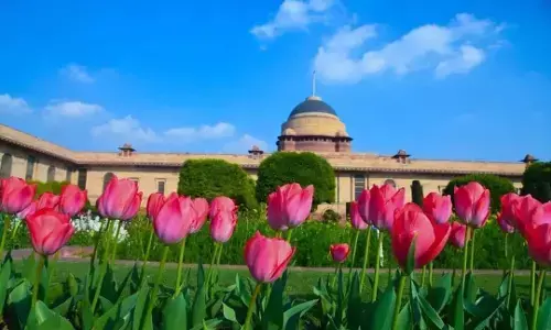Mughal Garden : जानिए- मुगल गार्डन का क्या है इतिहास, क्यों है खास, अंग्रेजों ने बनवाया, अब अमृत उद्यान के नाम से जाना जाएगा