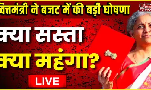 सब्ज़ स्याही से लिखा गया है यह बजट, खास 12 बातें नहीं जान पाएंगे! सब्ज़ स्याही से लिखा गया है यह बजट, खास 12 बातें नहीं जान पाएंगे!
