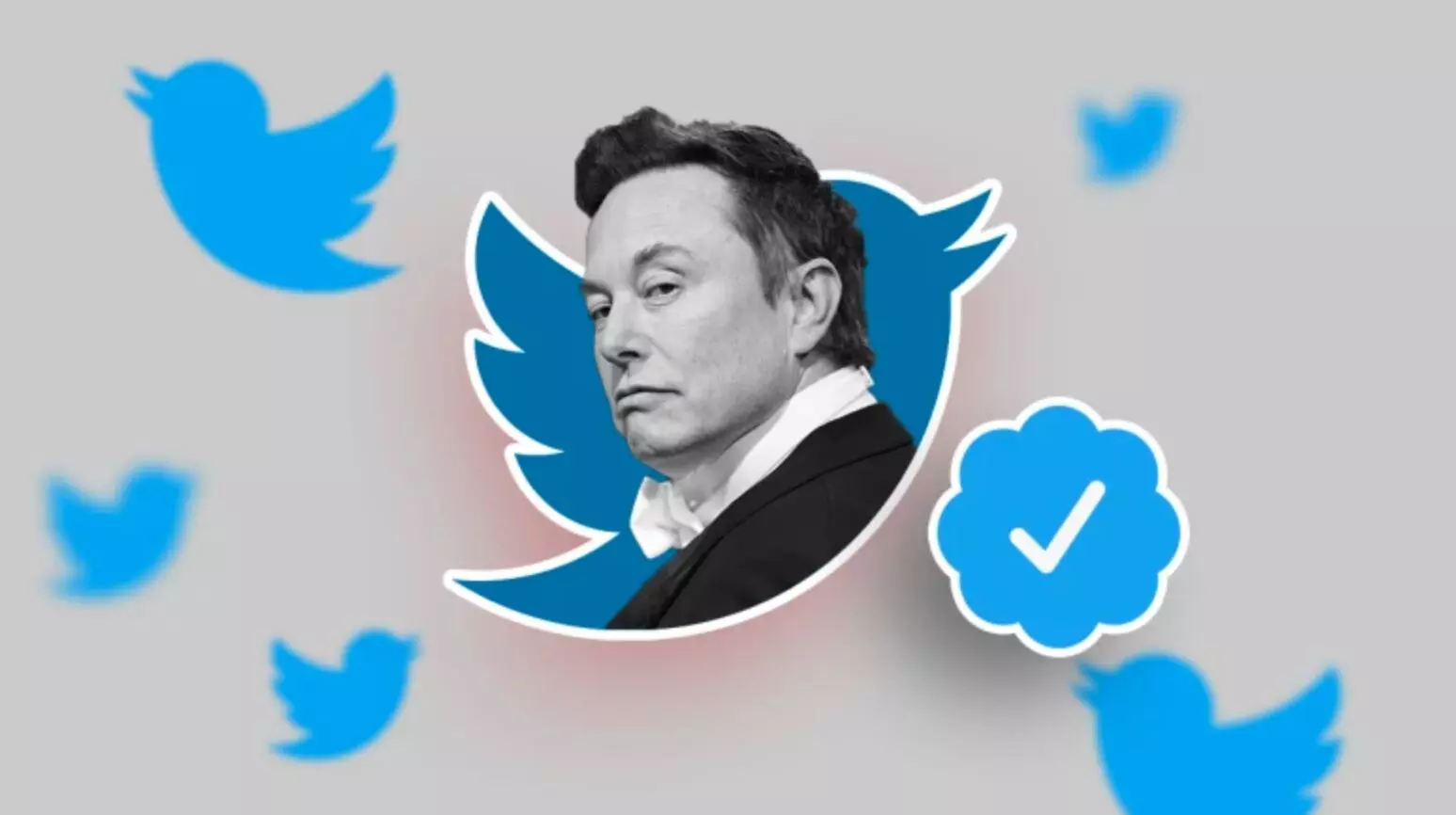 Elon Musk on Blue Tick : एलन मस्क का बड़ा फैसला, सभी फ्री वाले ब्लू टिक हटाए जाएंगे, बोले- यही भ्रष्ट हैं