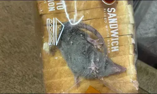 Blinkit: ऑनलाइन मंगाए गए ब्रेड पैकेट के अंदर से मिले जिंदा चूहे Blinkit: ऑनलाइन मंगाए गए ब्रेड पैकेट के अंदर से मिले जिंदा चूहे