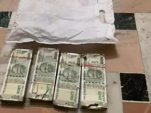 उदयपुर में दीमक खा गई लाखों रुपए के नोट, बैंक का लॉकर खोला तो उड़ गए होश