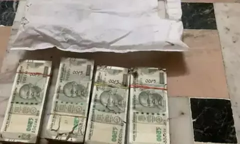 उदयपुर में दीमक खा गई लाखों रुपए के नोट, बैंक का लॉकर खोला तो उड़ गए होश