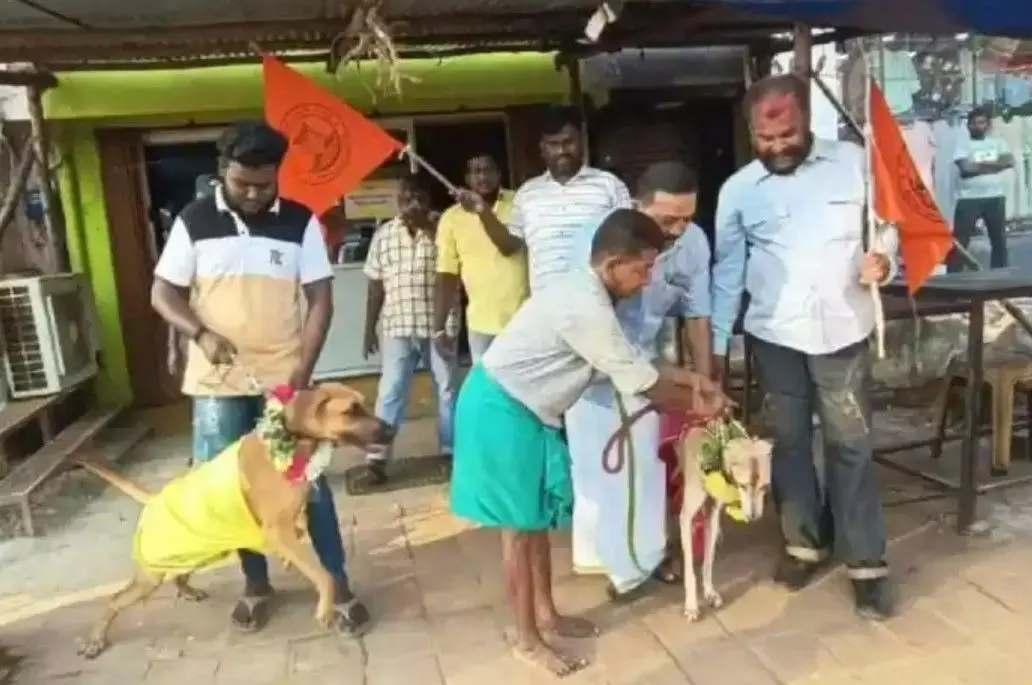 Valentines Day Protest: तमिलनाडु में वैलेंटाइन डे पर हिंदू संगठन का अनोखा विरोध, कुत्तों को माला पहनाकर कराई शादी Valentines Day Protest: तमिलनाडु में वैलेंटाइन डे पर हिंदू संगठन का अनोखा विरोध, कुत्तों को माला पहनाकर कराई शादी