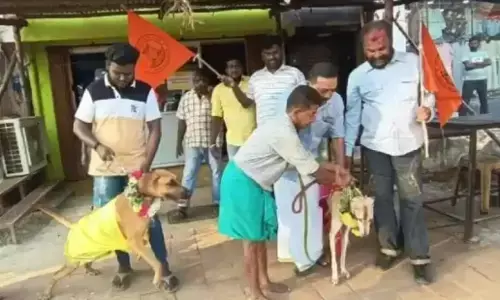 Valentines Day Protest: तमिलनाडु में वैलेंटाइन डे पर हिंदू संगठन का अनोखा विरोध, कुत्तों को माला पहनाकर कराई शादी Valentines Day Protest: तमिलनाडु में वैलेंटाइन डे पर हिंदू संगठन का अनोखा विरोध, कुत्तों को माला पहनाकर कराई शादी