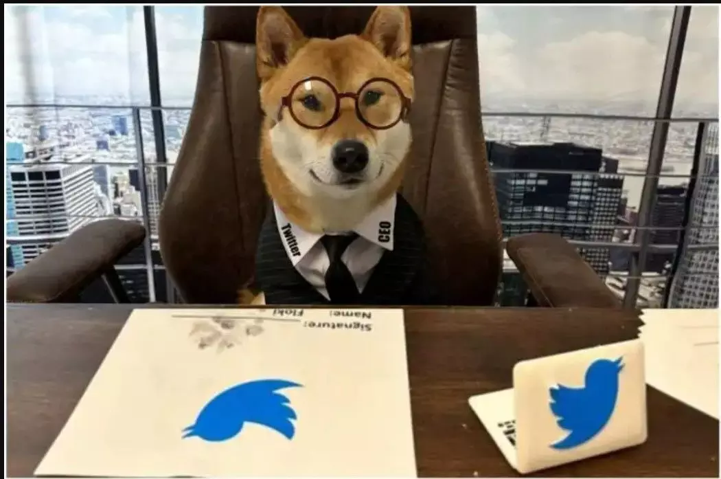 Elon Musk ने की ट्विटर के नए CEO की घोषणा! कहा- उस दूसरे आदमी से बहुत बेहतर Elon Musk ने की ट्विटर के नए CEO की घोषणा! कहा- उस दूसरे आदमी से बहुत बेहतर