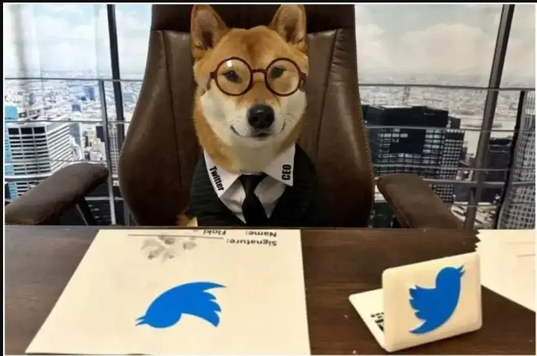 Elon Musk ने की ट्विटर के नए CEO की घोषणा! कहा- उस दूसरे आदमी से बहुत बेहतर
