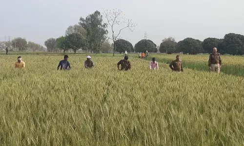 BREAKING NEWS: рдмреБрд▓рдиреНрджрд╢рд╣рд░ рдореЗрдВ рд╕рдВрджрд┐рдЧреНрдз рдкрд░рд┐рд╕реНрдерд┐рддрд┐рдпреЛрдВ рдореЗрдВ рд▓рд╛рдкрддрд╛ рд╣реБрдЖ рдврд╛рдИ рд╡рд░реНрд╖реАрдп рдорд╛рд╕реВрдо рдирд┐рддрд┐рди BREAKING NEWS: рдмреБрд▓рдиреНрджрд╢рд╣рд░ рдореЗрдВ рд╕рдВрджрд┐рдЧреНрдз рдкрд░рд┐рд╕реНрдерд┐рддрд┐рдпреЛрдВ рдореЗрдВ рд▓рд╛рдкрддрд╛ рд╣реБрдЖ рдврд╛рдИ рд╡рд░реНрд╖реАрдп рдорд╛рд╕реВрдо рдирд┐рддрд┐рди