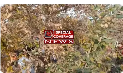 इंस्टाग्राम पर नाबालिग बेटी के साथ एक लडके की फोटो देखकर भड़के पिता ने बेटी और पत्नी को मार डाला, खुद लगाई फांसी