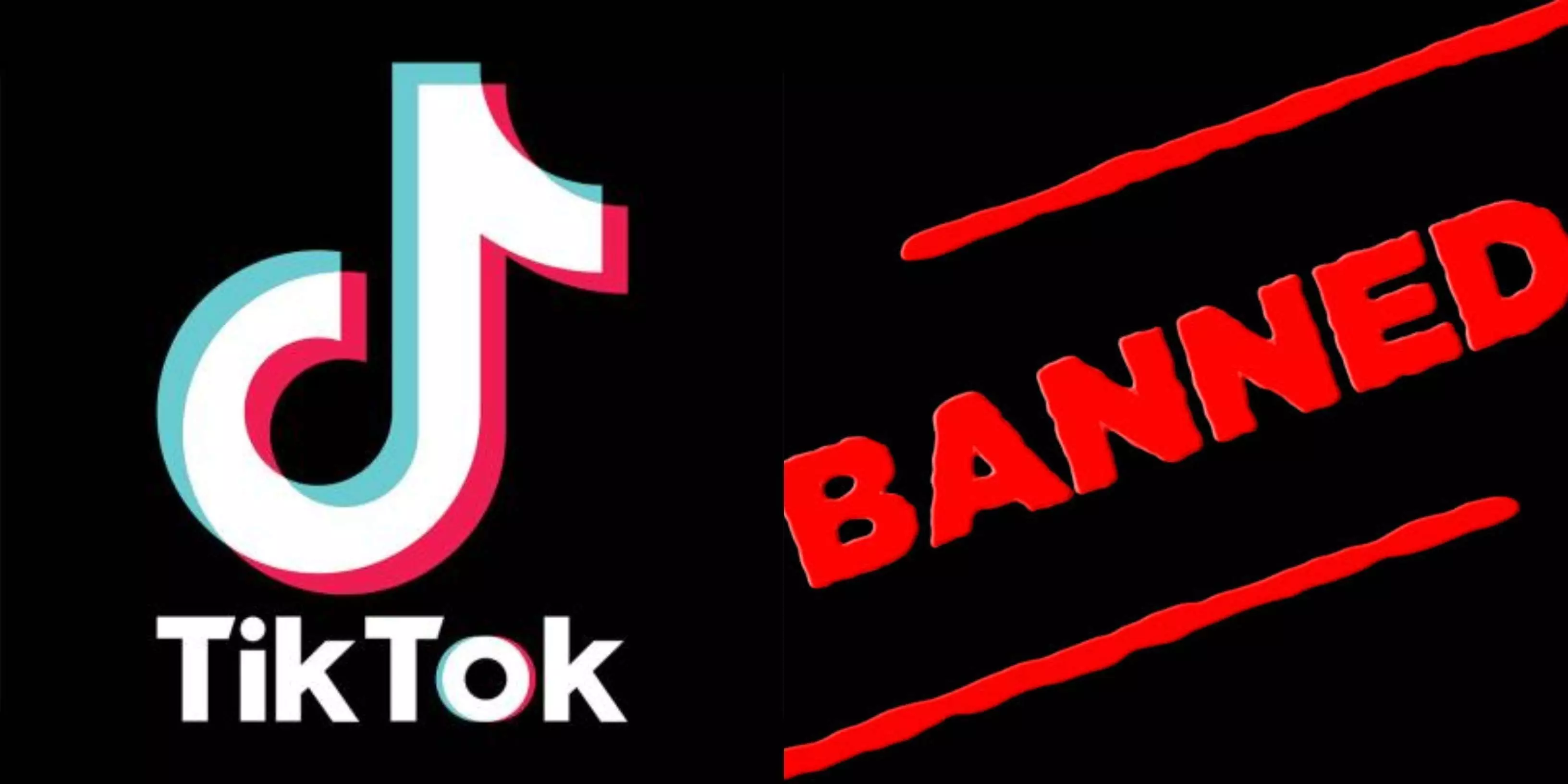 Tik Tok Ban: भारत-अमेरिका के बाद अब इस देश की सरकार ने भी टिक-टॉक को किया बैन, जानिए- कारण?