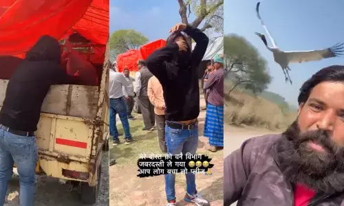 टूट गई आरिफ और सारस की जोड़ी, पक्षी को साथ ले गई वन विभाग की टीम, सोशल मीडिया पर उठी ये मांग! आखिरी बार छूकर रोने लगा आरिफ! टूट गई आरिफ और सारस की जोड़ी, पक्षी को साथ ले गई वन विभाग की टीम, सोशल मीडिया पर उठी ये मांग! आखिरी बार छूकर रोने लगा आरिफ!