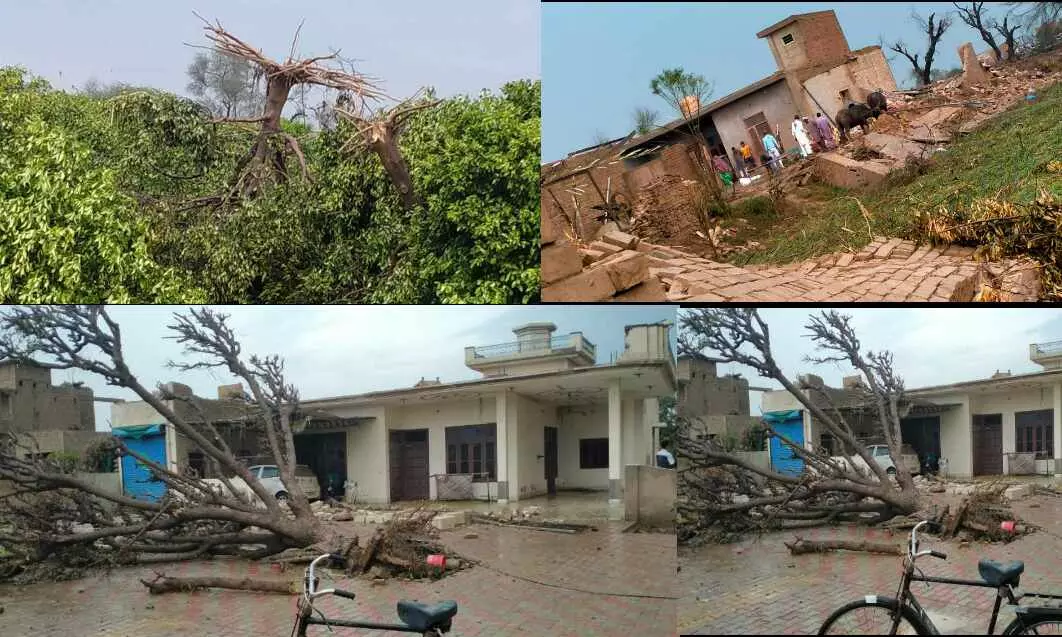 अभी अभी पंजाब में 50 घरों की छत उड़ीं, पेड़ गिरे, मलबे में दबे लोग, BSF जवानों ने संभाला मोर्चा