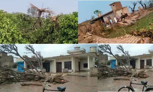 अभी अभी पंजाब में 50 घरों की छत उड़ीं, पेड़ गिरे, मलबे में दबे लोग, BSF जवानों ने संभाला मोर्चा अभी अभी पंजाब में 50 घरों की छत उड़ीं, पेड़ गिरे, मलबे में दबे लोग, BSF जवानों ने संभाला मोर्चा
