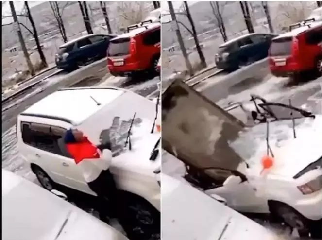 Video: कार को साफ करते वक्त कार पर गिरी एक ऐसी चीज, कार मालिक हो गया हैरान, बच गई उसकी जान