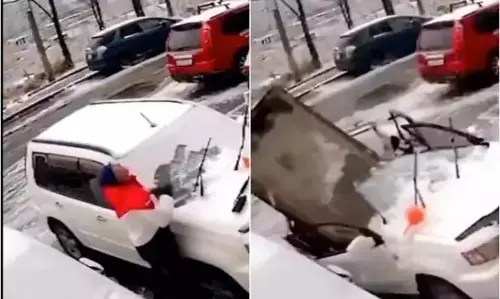 Video: कार को साफ करते वक्त कार पर गिरी एक ऐसी चीज, कार मालिक हो गया हैरान, बच गई उसकी जान