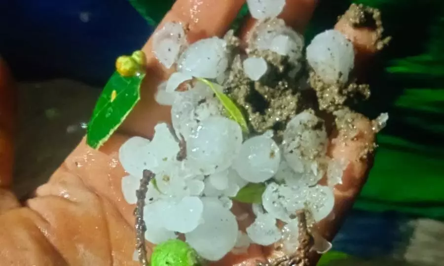 हरदोई में बेमौसम बारिश व ओलावृष्टि से किसानों के माथे पर चिंता की लकीरें हरदोई में बेमौसम बारिश व ओलावृष्टि से किसानों के माथे पर चिंता की लकीरें