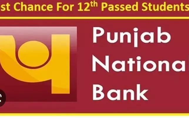 Punjab National Bank Recruitment पंजाब नेशनल बैंक में क्लर्क और चपरासी की निकली बंपर भर्ती 10वीं और 12वीं पास भी कर सकते हैं आवेदन