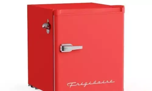 अब ₹10000 वाला फ्रिज केवल₹919 ले जाएं,फ्लिपकार्ट पर चल रही है बंपर सेल