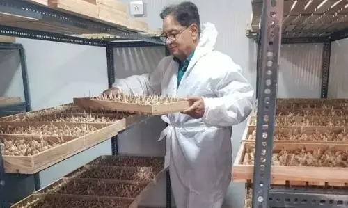 जानिए रमेश की इंस्पिरेशनल स्टोरी जिन्होंने 100 स्क्वायर फीट कमरे में उगाया केसर और अब कमा रहे हैं लाखों!! जानिए रमेश की इंस्पिरेशनल स्टोरी जिन्होंने 100 स्क्वायर फीट कमरे में उगाया केसर और अब कमा रहे हैं लाखों!!