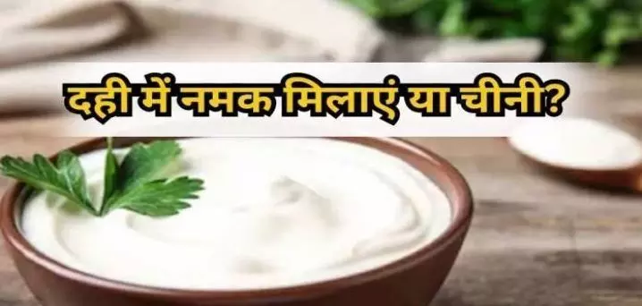 Curd Benefits: क्या आप भी सोचते हैं कि दही में मिलाएं चीनी या नमक, तो जानिए एक्सपर्ट की राय