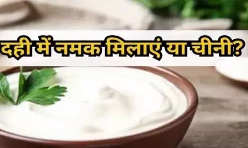 Curd Benefits: क्या आप भी सोचते हैं कि दही में मिलाएं चीनी या नमक, तो जानिए एक्सपर्ट की राय Curd Benefits: क्या आप भी सोचते हैं कि दही में मिलाएं चीनी या नमक, तो जानिए एक्सपर्ट की राय
