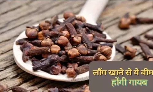 Clove Benefits: अगर आप भी रहना चाहते हैं बीमारियों से दूर, तो रोज खाएं लौंग Clove Benefits: अगर आप भी रहना चाहते हैं बीमारियों से दूर, तो रोज खाएं लौंग
