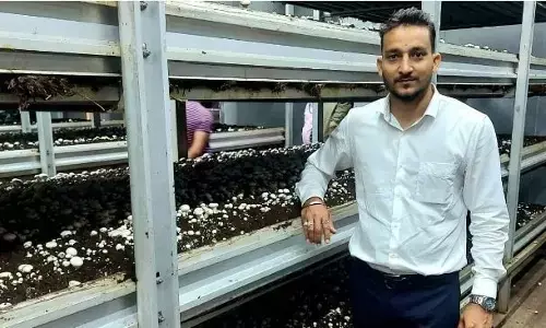 बिस्किट से लेकर च्यवनप्राश बनाने तक और मशरूम उगाने तक के सफर के बारे में, जानिए खुद कुलदीप विष्ट से बिस्किट से लेकर च्यवनप्राश बनाने तक और मशरूम उगाने तक के सफर के बारे में, जानिए खुद कुलदीप विष्ट से