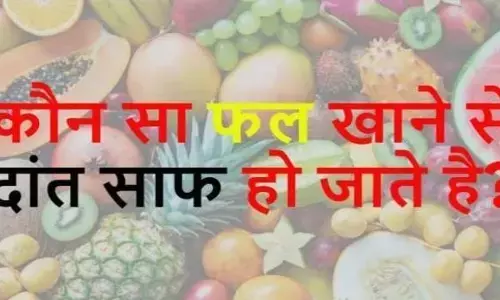 Quiz: आइए जानते हैं कुछ ट्रेंडिंग जीके क्विज क्वेश्चन जिनको सुनकर आपका भी दिमाग हो जाएगा सोचने पर मजबूर !! Quiz: आइए जानते हैं कुछ ट्रेंडिंग जीके क्विज क्वेश्चन जिनको सुनकर आपका भी दिमाग हो जाएगा सोचने पर मजबूर !!