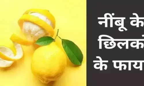 Lemon Peel: नींबू के छिलकों का यह इस्तेमाल जानकर हैरान हो जाएंगे आप, आगे से कभी नहीं फेकेंगे नींबू के छिलके Lemon Peel: नींबू के छिलकों का यह इस्तेमाल जानकर हैरान हो जाएंगे आप, आगे से कभी नहीं फेकेंगे नींबू के छिलके