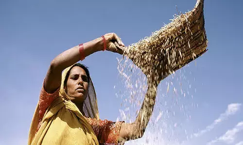 मध्यप्रदेश के इस ज़िले के किसानों ने कर ली है जलवायु परिवर्तन से निपटने की तैयारी मध्यप्रदेश के इस ज़िले के किसानों ने कर ली है जलवायु परिवर्तन से निपटने की तैयारी
