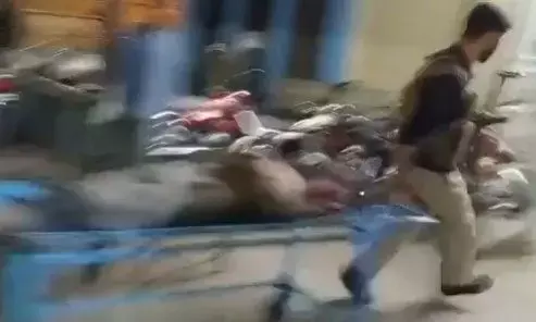 Pakistan News: पाकिस्तान में 8 पुलिसकर्मियों समेत 10 की मौत, कई घायल