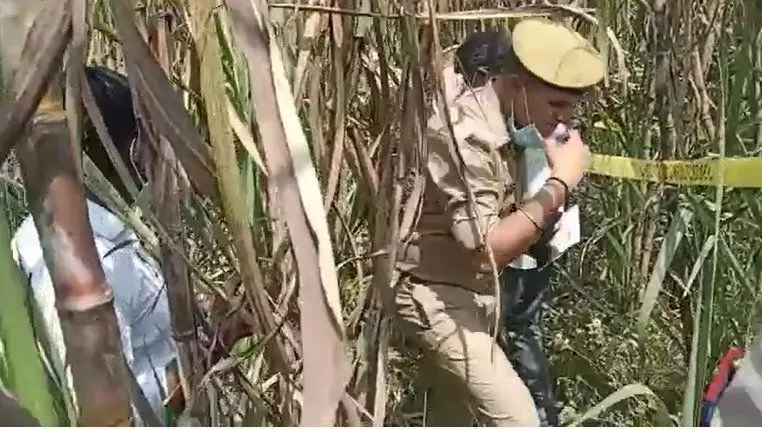 बिजनौर में गन्ने के खेत मे अज्ञात महिला का मिला सडा गला शव