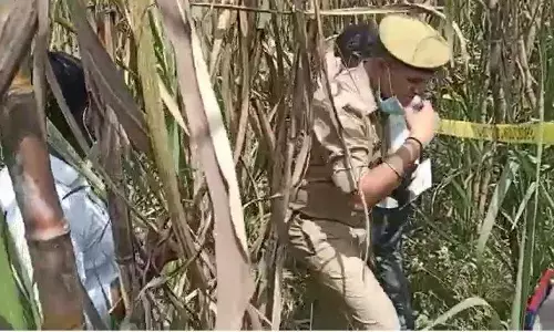 बिजनौर में गन्ने के खेत मे अज्ञात महिला का मिला सडा गला शव बिजनौर में गन्ने के खेत मे अज्ञात महिला का मिला सडा गला शव