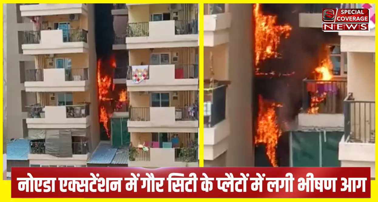 Noida Breaking : नोएडा एक्सटेंशन की गौर सिटी के फ्लैट में लगी भीषण आग, दमकल की गाड़ियां मौके पर