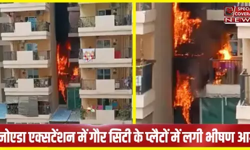 Noida Breaking : नोएडा एक्सटेंशन की गौर सिटी के फ्लैट में लगी भीषण आग, दमकल की गाड़ियां मौके पर