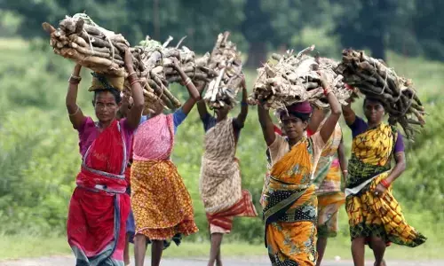 क्या आदिवासी आपके प्रयोग के चूजे हैं ? क्या आदिवासी आपके प्रयोग के चूजे हैं ?