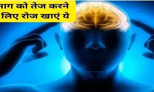 अगर आप भी बनाना चाहते हैं अपने दिमाग को कंप्यूटर से तेज तो डाइट में शामिल करें इन चीजों को अगर आप भी बनाना चाहते हैं अपने दिमाग को कंप्यूटर से तेज तो डाइट में शामिल करें इन चीजों को