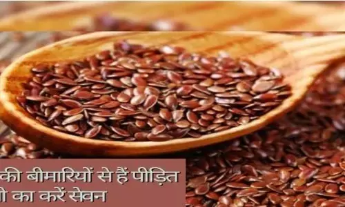 अलसी के गुणों को जानकर हैरान हो जाएंगे आप जाने किस तरह से फायदेमंद है यह आपके लिए अलसी के गुणों को जानकर हैरान हो जाएंगे आप जाने किस तरह से फायदेमंद है यह आपके लिए